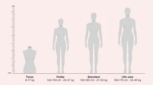 Comparison of sex doll sizes: petite, standard, and life-size.